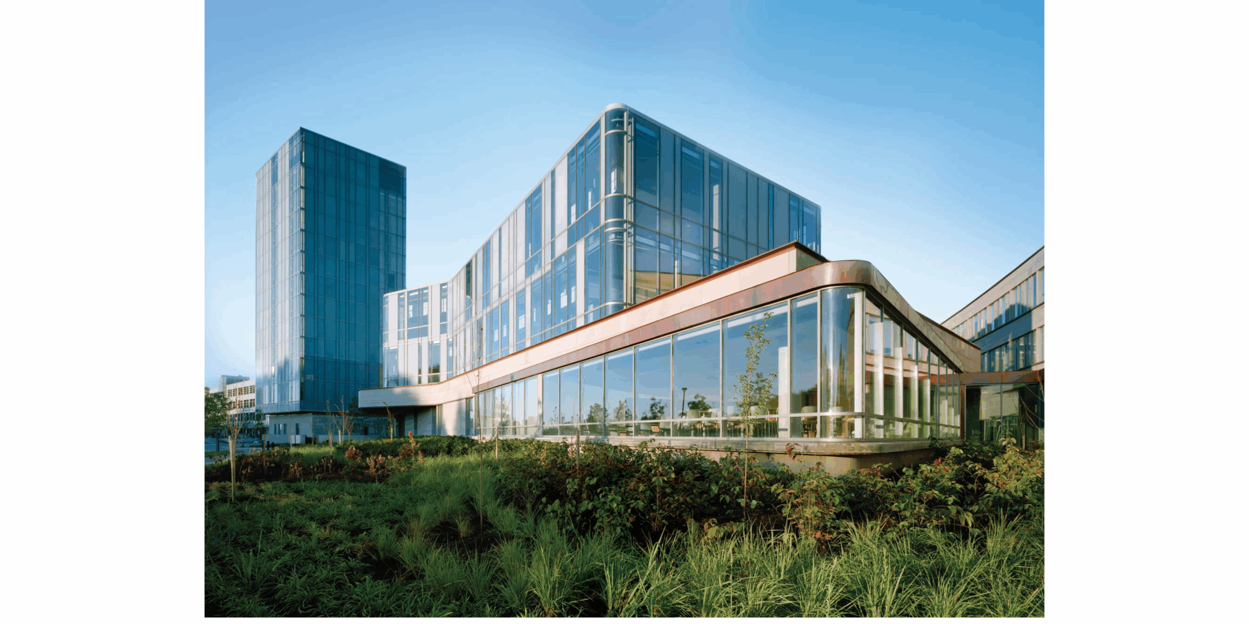 York University (Schulich School of Business)